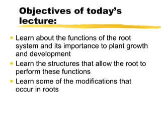 Objectives of today’s  lecture: Learn about the functions of the root system and its importance to plant growth and development Learn the structures that allow the root to perform these functions Learn some of the modifications that occur in roots 