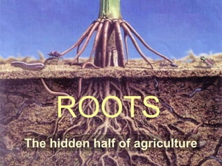 ROOTS
The hidden half of agriculture
 