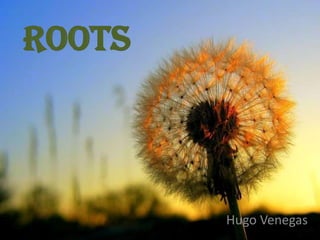 Roots
Hugo Venegas
 