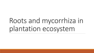 Roots and mycorrhiza in
plantation ecosystem
 
