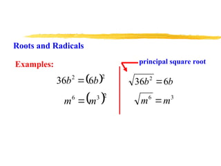 Radical Roots In Math Examples Roots and Radicals PowerPoint For grade 8 and 9.ppt