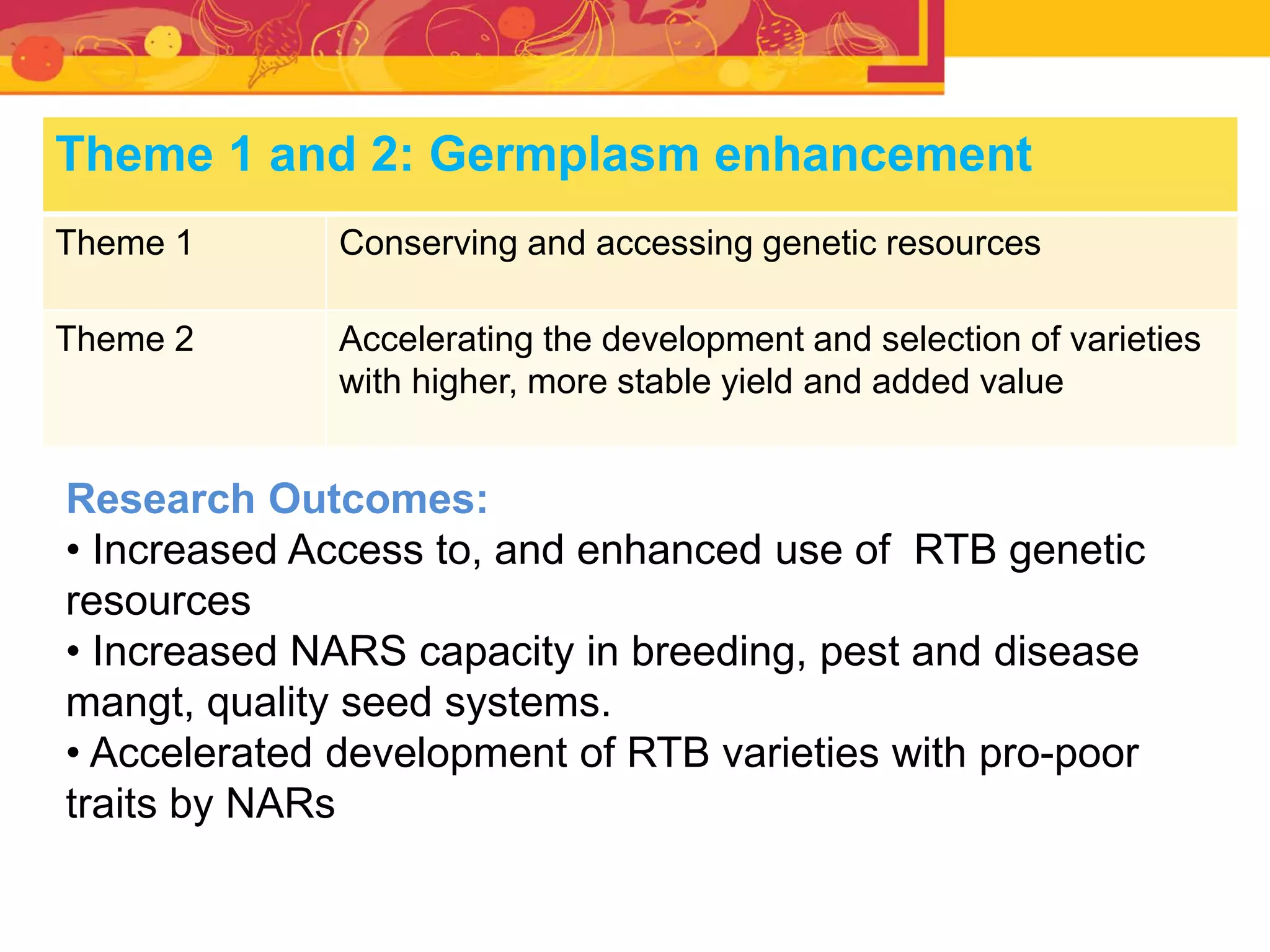 Theme 1 and 2: Germplasm enhancement
Theme 1 Conserving and accessing genetic resources
Theme 2 Accelerating the development and selection of varieties
with higher, more stable yield and added value
Research Outcomes:
• Increased Access to, and enhanced use of RTB genetic
resources
• Increased NARS capacity in breeding, pest and disease
mangt, quality seed systems.
• Accelerated development of RTB varieties with pro-poor
traits by NARs
 