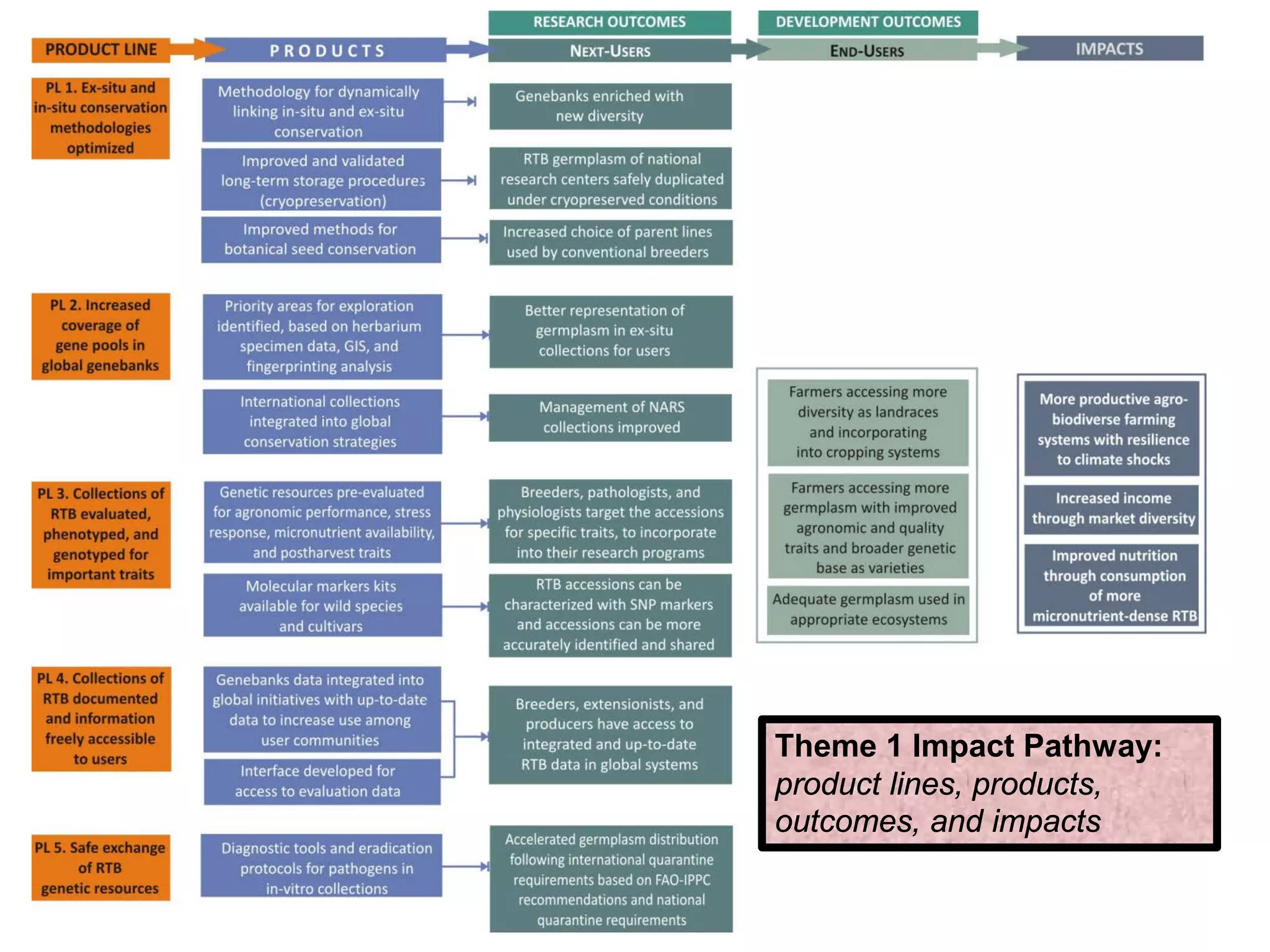 Theme 1 Impact Pathway:
product lines, products,
outcomes, and impacts
 