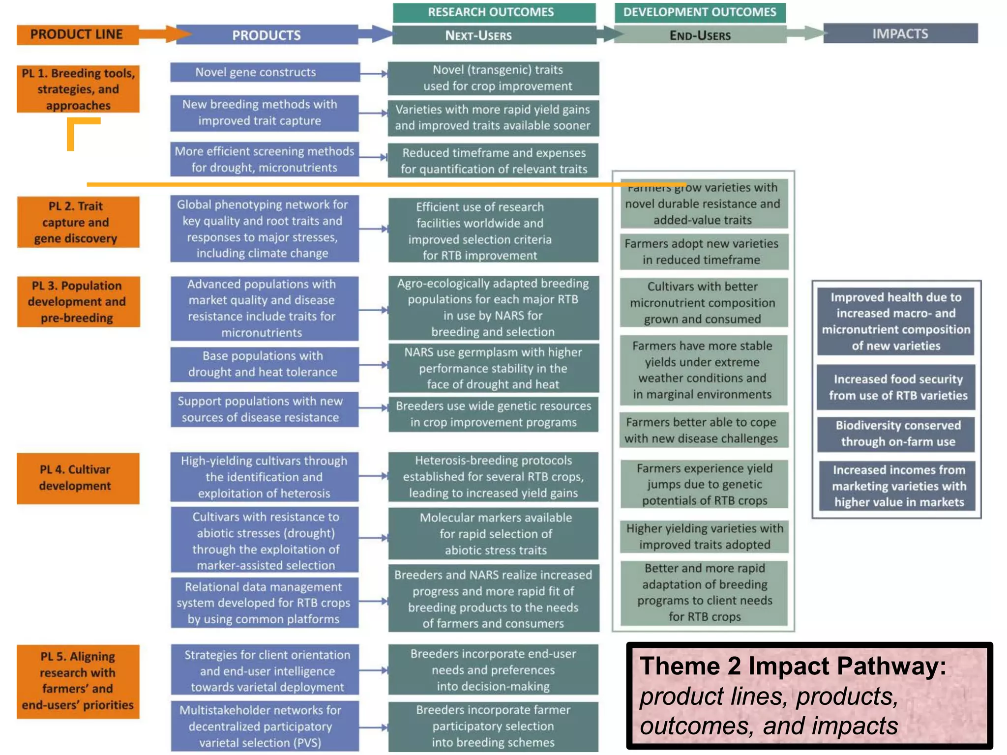 Theme 2 Impact Pathway:
product lines, products,
outcomes, and impacts
 