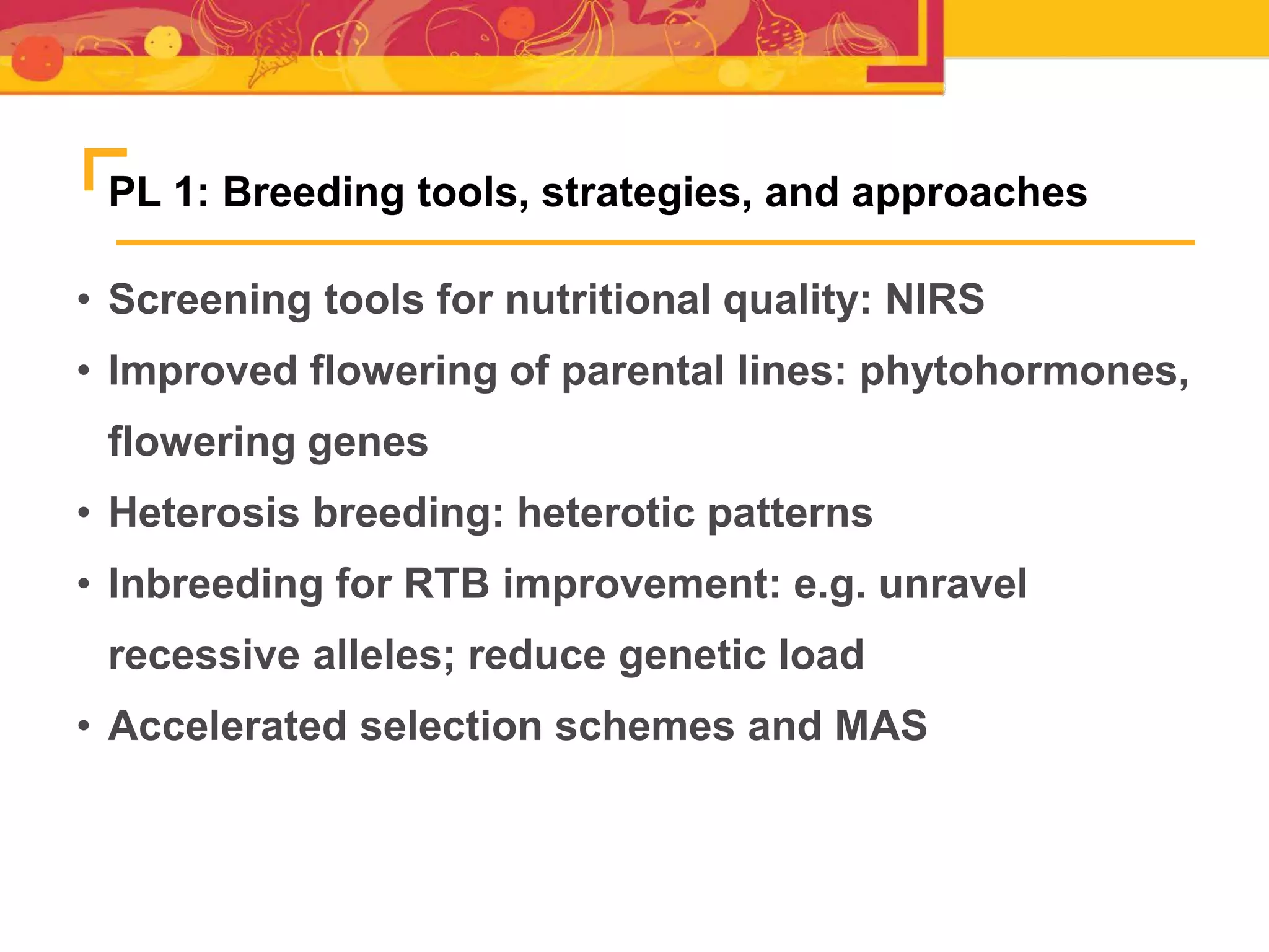 PL 1: Breeding tools, strategies, and approaches
• Screening tools for nutritional quality: NIRS
• Improved flowering of parental lines: phytohormones,
flowering genes
• Heterosis breeding: heterotic patterns
• Inbreeding for RTB improvement: e.g. unravel
recessive alleles; reduce genetic load
• Accelerated selection schemes and MAS
 