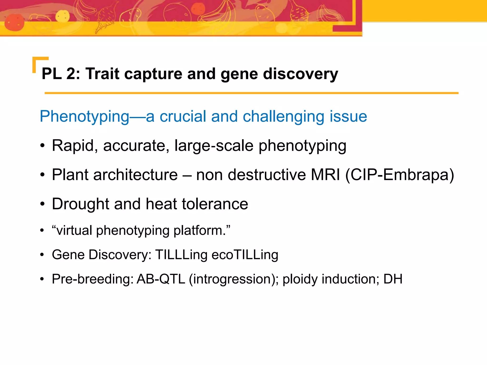 PL 2: Trait capture and gene discovery
Phenotyping—a crucial and challenging issue
• Rapid, accurate, large‐scale phenotyping
• Plant architecture – non destructive MRI (CIP-Embrapa)
• Drought and heat tolerance
• “virtual phenotyping platform.”
• Gene Discovery: TILLLing ecoTILLing
• Pre-breeding: AB-QTL (introgression); ploidy induction; DH
 