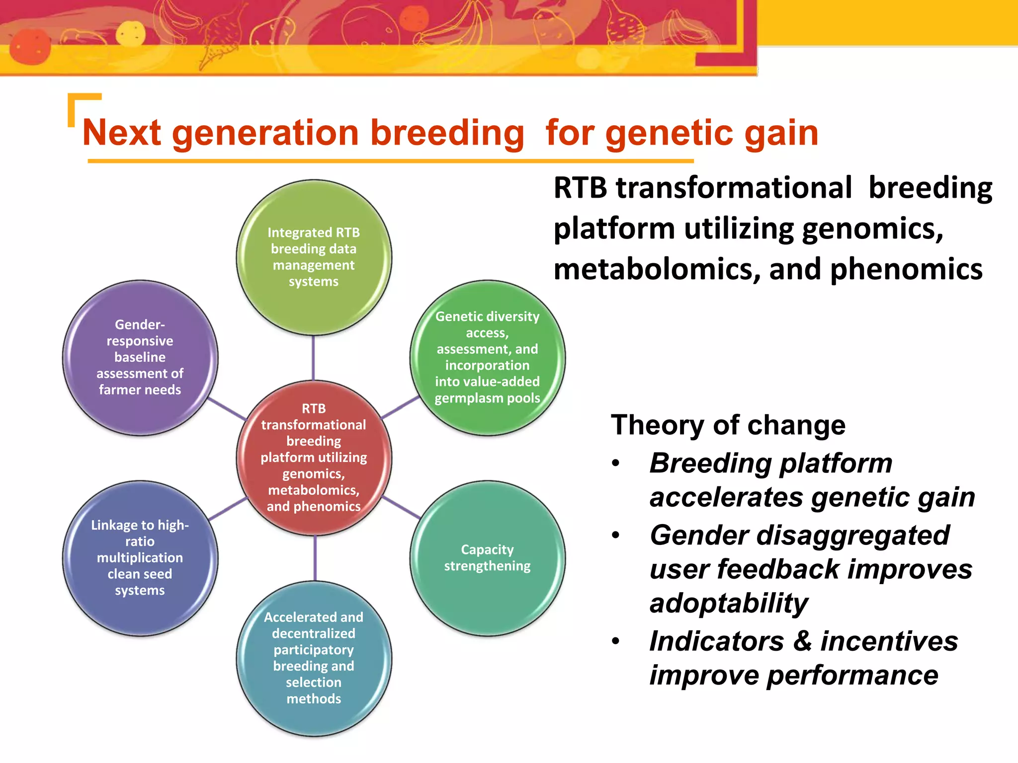 Next generation breeding for genetic gain
RTB
transformational
breeding
platform utilizing
genomics,
metabolomics,
and phenomics
Integrated RTB
breeding data
management
systems
Genetic diversity
access,
assessment, and
incorporation
into value-added
germplasm pools
Capacity
strengthening
Accelerated and
decentralized
participatory
breeding and
selection
methods
Linkage to high-
ratio
multiplication
clean seed
systems
Gender-
responsive
baseline
assessment of
farmer needs
Theory of change
• Breeding platform
accelerates genetic gain
• Gender disaggregated
user feedback improves
adoptability
• Indicators & incentives
improve performance
RTB transformational breeding
platform utilizing genomics,
metabolomics, and phenomics
 