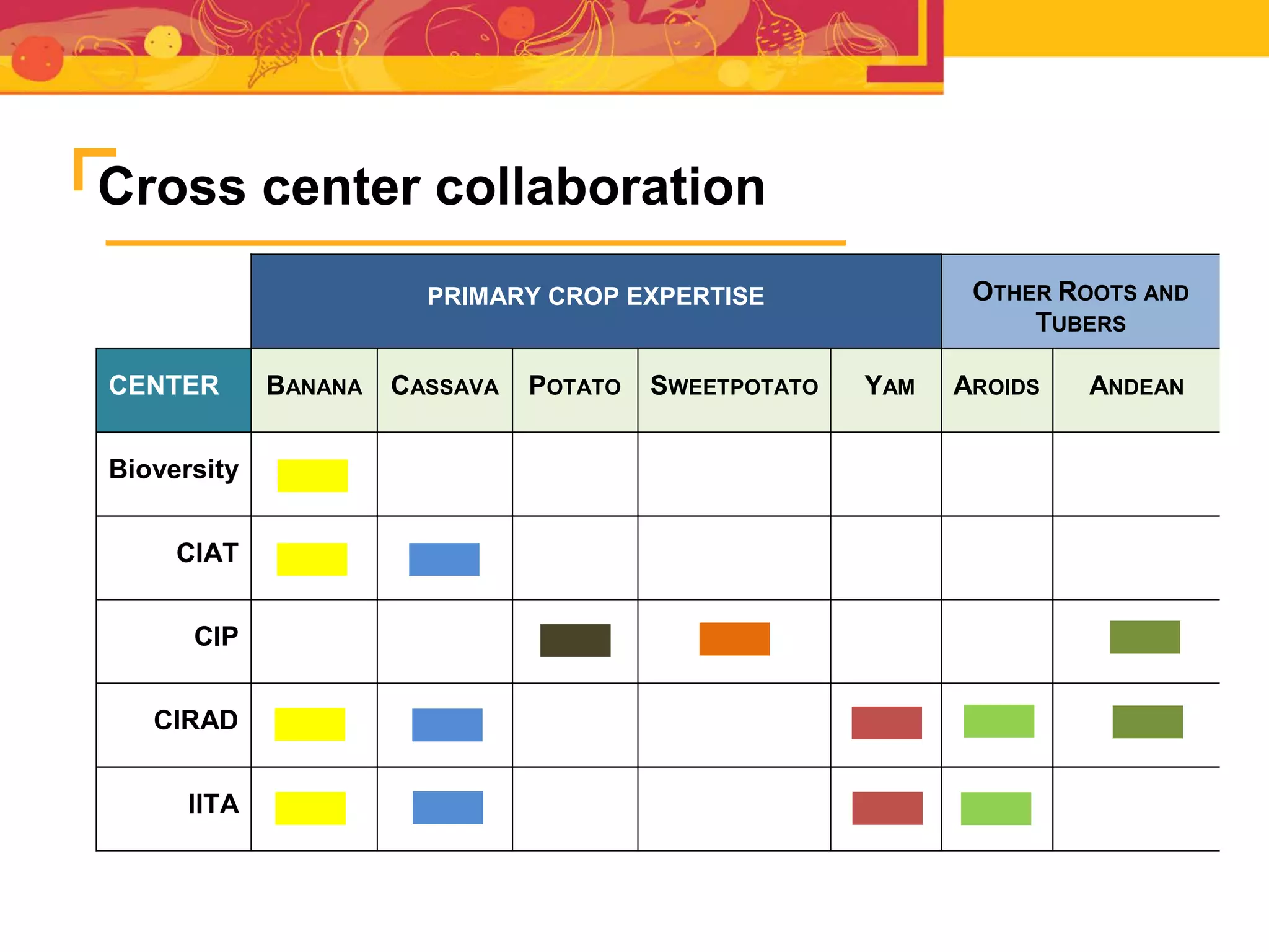 Cross center collaboration
PRIMARY CROP EXPERTISE OTHER ROOTS AND
TUBERS
CENTER BANANA CASSAVA POTATO SWEETPOTATO YAM AROIDS ANDEAN
Bioversity
CIAT
CIP
CIRAD
IITA
 
