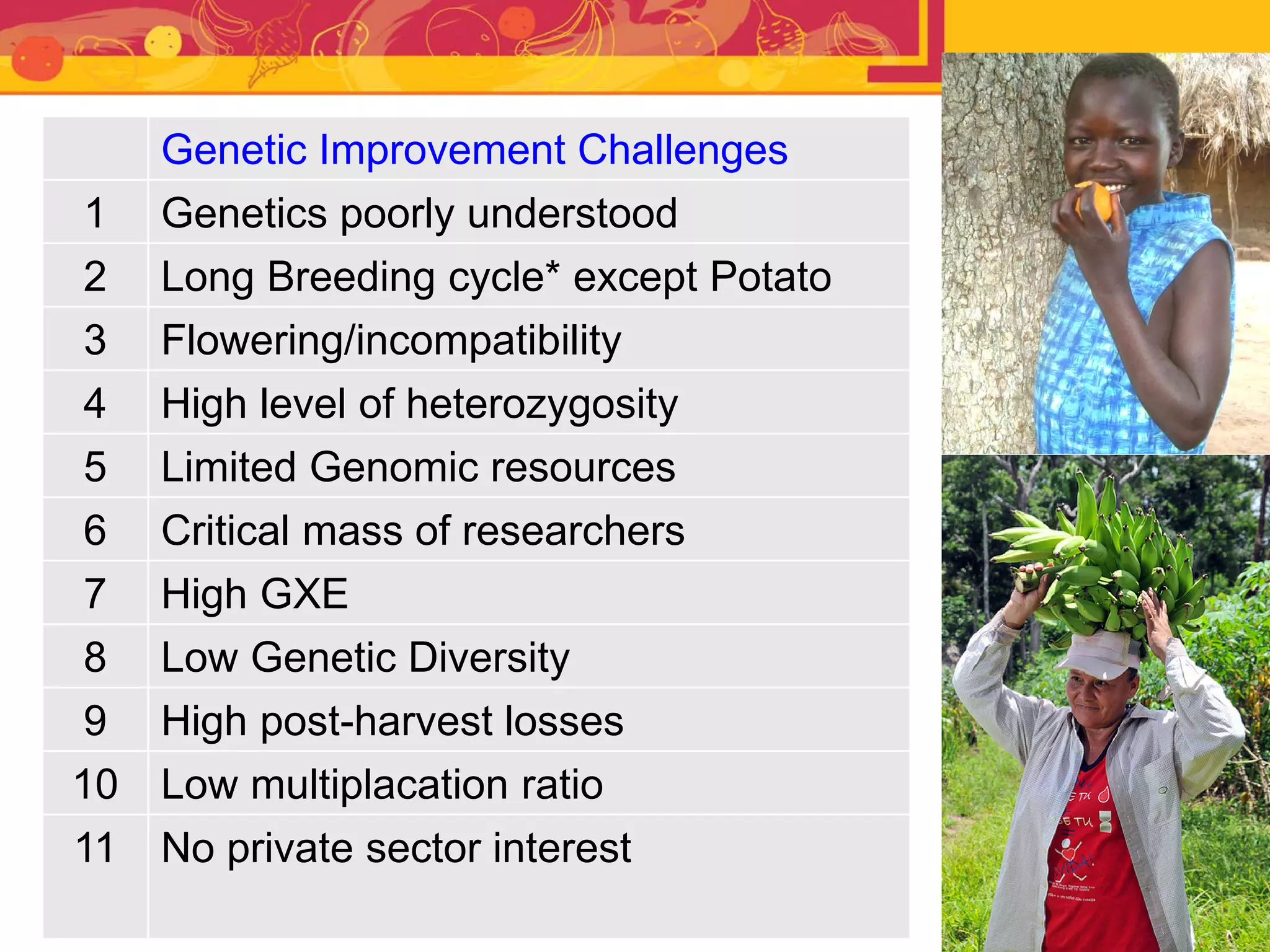 Genetic Improvement Challenges
1 Genetics poorly understood
2 Long Breeding cycle* except Potato
3 Flowering/incompatibility
4 High level of heterozygosity
5 Limited Genomic resources
6 Critical mass of researchers
7 High GXE
8 Low Genetic Diversity
9 High post-harvest losses
10 Low multiplacation ratio
11 No private sector interest
 