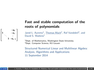 1 
. . . 
1 
a0 
a1 
... 
an1 
Fast and stable computation of the 
roots of polynomials 
Jared L. Aurentz1, Thomas Mach2, Raf Vandebril2, and 
David S. Watkins1 
1Dept. of Mathematics, Washington State University 
2Dept. Computer Science, KU Leuven 
Structured Numerical Linear and Multilinear Algebra: 
Analysis, Algorithms and Applications 
11 September 2014 
J. Aurentz, T. Mach, R. Vandebril, D. Watkins, Fast and stable computation of the roots of polynomials 1/41 
 