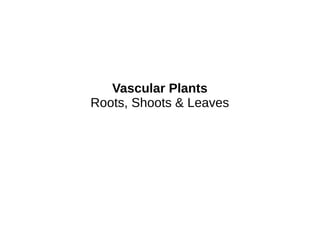 Vascular Plants
Roots, Shoots & Leaves
 
