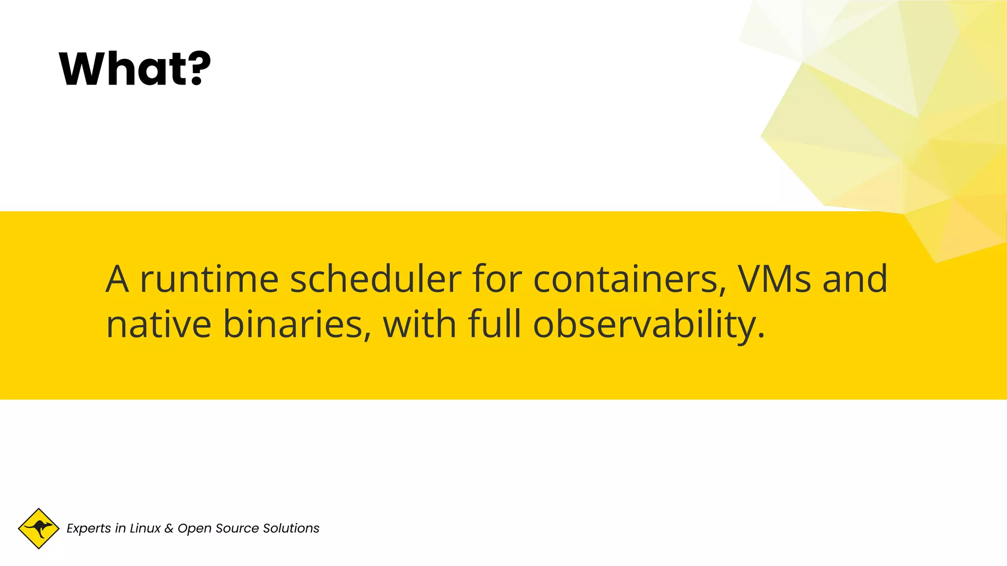 Experts in Linux & Open Source Solutions
What?
A runtime scheduler for containers, VMs and
native binaries, with full observability.
 