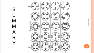 S
U
M
M
A
R
Y
HPILUDARIA
14
 