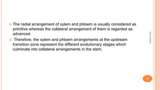  The radial arrangement of xylem and phloem is usually considered as
primitive whereas the collateral arrangement of them is regarded as
advanced.
 Therefore, the xylem and phloem arrangements at the upstream
transition zone represent the different evolutionary stages which
culminate into collateral arrangements in the stem.
HPILUDARIA
17
 