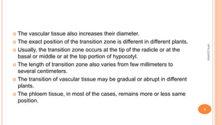  The vascular tissue also increases their diameter.
 The exact position of the transition zone is different in different plants.
 Usually, the transition zone occurs at the tip of the radicle or at the
basal or middle or at the top portion of hypocotyl.
 The length of transition zone also varies from few millimeters to
several centimeters.
 The transition of vascular tissue may be gradual or abrupt in different
plants.
 The phloem tissue, in most of the cases, remains more or less same
position.
HPILUDARIA
4
 