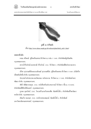 โรงเรียนมหิดลวิทยานุสรณ์ (องค์การมหาชน) สาขาวิชาชีววิทยา
เอกสารประกอบการสอนวิชาชีววิทยา 4 (ว 40144) ปีการศึกษา 2549 โครงสร้างและหน้าที่ของราก
22
รูปที่ 30 หัวไชเท้า
(ที่มา http://www.dmsc.moph.go.th/webroot/plant/herb_sub11.htm)
เอกสารอ้างอิง
เกษม ศรีพงษ์. คู่มือเตรียมสอบ ชีววิทยา ม.5 เล่ม 3 ว 049. สานักพิมพ์ภูมิบัณฑิต.
กรุงเทพมหานคร.
เชาวน์ ชิโนรักษ์และพรรณี ชิโนรักษ์. 2541. ชีววิทยา 3. สานักพิมพ์ศิลปาบรรณาคาร.
กรุงเทพมหานคร.
ปรีชา สุวรรณพินิจและนงลักษณ์ สุวรรณพินิจ. คู่มือเตรียมสอบ ชีววิทยา 3 ว 049 . บริษัทไฮ
เอ็ดพลับลิชชิ่ง จากัด. กรุงเทพมหานคร.
ประสงค์หลาสะอาด และจิตเกษม หลาสะอาด. ชีววิทยา ม. 5 ว 049. สานักพิมพ์พ.ศ.
พัฒนา จากัด. กรุงเทพมหานคร.
พัชรี พิพัฒวรรณกุล. 2542. หนังสือเสริมประสบการณ์ ชีววิทยา 3 ชั้น ม. 5 (ว 049).
สานักพิมพ์ฟิสิกส์เซ็นเตอร์. กรุงเทพมหานคร.
ภูวดล บุตรรัตน์. 2543. โครงสร้างภายในของพืช. พิมพ์ครั้งที่ 6. สานักพิมพ์ไทยวัฒนา
พานิช จากัด. กรุงเทพมหานคร.
เทียมใจ คมกฤส. 2542. กายวิภาคของพฤกษ์. พิมพ์ครั้งที่ 4. สานักพิมพ์
มหาวิทยาลัยเกษตรศาสตร์. กรุงเทพมหานคร.
 