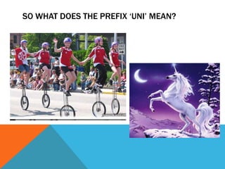 SO WHAT DOES THE PREFIX ‘UNI’ MEAN?
 