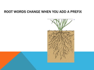 ROOT WORDS CHANGE WHEN YOU ADD A PREFIX
 