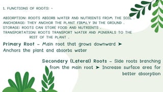 ROOT SYSTEM in Science Matatag Curicculum.pdf