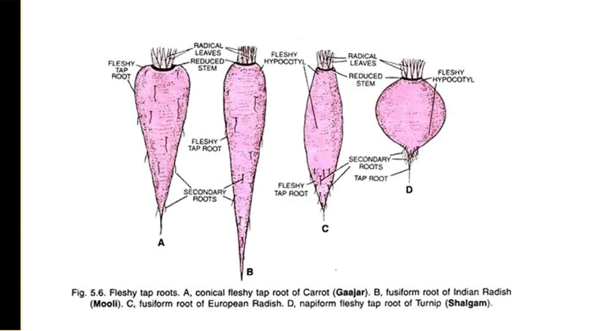Saturday,
February
8,
2025
 