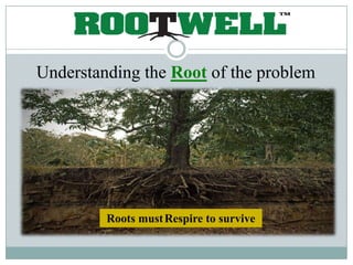 Understanding the Root of the problem




         Roots must Respire to survive
 