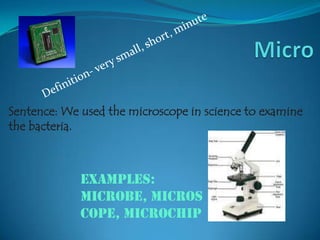 Micro Definition Example Root words | PPTX