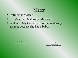Mater Definition: Mother. Ex: Maternal, Maternity, Matriarch Sentence: My teacher left for her maternity absence because she had a baby. 