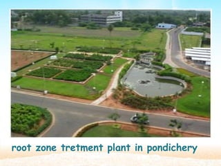 root zone tretment plant in pondichery
 