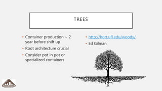 Root zone management | PPTX