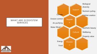 Root zone management | PPTX