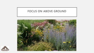 Root zone management | PPTX