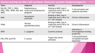 Toxins acting on the cell surface: Immune system (Superantigens)
Toxin

Organism

Activity

Consequence

Binding to MHC class II
molecules and to Vβ or Vγ
of T cell receptor

T cell activation and
cytokines secretion

MAM

Mycoplasma
arthritidis

Binding to MHC class II
molecules and to Vβ or Vγ
of T cell receptor

Chronic inflammation

YPMa

Yersinia
pseudotuberculosis

Binding to MHC class II
molecules and to Vβ or Vγ
of T cell receptor

Chronic Inflammation

S. pyogenes

Cysteine protease

Alteration in
Immunoglobulin binding
properties

S. aureus

Trypsin-like serine
proteases

T-cell proliferation,
intraepidermal layer
separation

SEA-SEI, TSST-1, SPEA,
Staphylococcus
SPEC, SPEL, SPEM, SSA, and aureus and Streptococcus
SMEZ
pyogenes

SPEB

ETA, ETB, and ETD

 