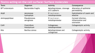 Toxins acting on the cell surface: Surface molecules
Toxin

Organism

Activity

Consequence

BFT enterotoxin

Bacteroides fragilis

Metalloprotease, cleavage
of E-cadherin

Alteration of epithelial
permeability

AhyB

Aeromonas
hydrophyla

Elastase,
metalloprotease

Hydrolization of casein and
elastine

Aminopeptidase

Pseudomonas
aeruginosa

Elastase,
metalloprotease

Corneal infection,
inflammation and
ulceration

ColH

Clostridium
histolyticum

Collagenase,
metalloprotease

Collagenolytic activity

Nhe

Bacillus cereus

Metalloprotease and
collagenase

Collagenolytic activity

 