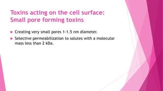 Toxins acting on the cell surface:
Small pore forming toxins


Creating very small pores 1-1.5 nm diameter.



Selective permeabilization to solutes with a molecular
mass less than 2 kDa.

 