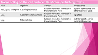 Toxins acting on the cell surface: Membrane perturbing toxins
Toxin

Organism

Activity

Consequence

ApxI, ApxII, and ApxIII A.pleuropneumoniae

Calcium-dependent formation of
transmembrane Pores

Lysis of erythrocytes and
other nucleated Cells

LtxA

A.actinomycetemcomitans

Calcium-dependent formation of
transmembrane Pores

Apoptosis

LtxA

P.Haemolytica

Calcium-dependent formation of
transmembrane Pores

Activity specific versus
ruminant leukocytes

 