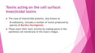 Toxins acting on the cell surface:
Insecticidal toxins


The class of insecticidal proteins, also known as
δ-endotoxins, includes a number of toxins produced by
species of Bacillus thuringiensis.



These exert their toxic activity by making pores in the
epithelial cell membrane of the insect midgut.

 