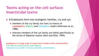Toxins acting on the cell surface:
Insecticidal toxins


δ-Endotoxins form two multigenic families, cry and cyt;


members of the cry family are toxic to insects of
Lepidoptera, Diptera and Coleoptera orders (Hofmann et al.,
1988),



whereas members of the cyt family are lethal specifically to
the larvae of Dipteran insects (Koni and Ellar, 1994).

Lepidoptera is a large order of insects that includes moths and butterflies.
True flies are insects of the order Diptera.
Coleoptera is an order of insects commonly called beetles.

 