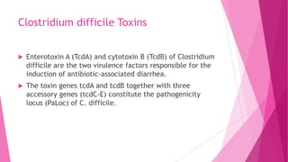 Clostridium difficile Toxins


Enterotoxin A (TcdA) and cytotoxin B (TcdB) of Clostridium
difficile are the two virulence factors responsible for the
induction of antibiotic-associated diarrhea.



The toxin genes tcdA and tcdB together with three
accessory genes (tcdC-E) constitute the pathogenicity
locus (PaLoc) of C. difficile.

 