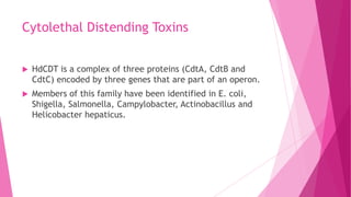 Cytolethal Distending Toxins


HdCDT is a complex of three proteins (CdtA, CdtB and
CdtC) encoded by three genes that are part of an operon.



Members of this family have been identified in E. coli,
Shigella, Salmonella, Campylobacter, Actinobacillus and
Helicobacter hepaticus.

 
