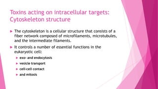 Toxins acting on intracellular targets:
Cytoskeleton structure


The cytoskeleton is a cellular structure that consists of a
fiber network composed of microfilaments, microtubules,
and the intermediate filaments.



It controls a number of essential functions in the
eukaryotic cell:


exo- and endocytosis



vesicle transport



cell-cell contact



and mitosis

 