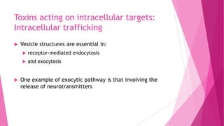 Toxins acting on intracellular targets:
Intracellular trafficking


Vesicle structures are essential in:





receptor-mediated endocytosis
and exocytosis

One example of exocytic pathway is that involving the
release of neurotransmitters

 