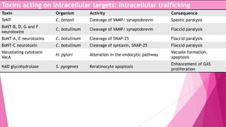 Toxins acting on intracellular targets: Intracellular trafficking
Toxin

Organism

Activity

Consequence

TeNT

C. tetanii

Cleavage of VAMP/ synaptobrevin

Spastic paralysis

BoNT-B, D, G and F
neurotoxins

C. botulinum

Cleavage of VAMP/ synaptobrevin

Flaccid paralysis

BoNT-A, E neurotoxins

C. botulinum

Cleavage of SNAP-25

Flaccid paralysis

BoNT-C neurotoxin

C. botulinum

Cleavage of syntaxin, SNAP-25

Flaccid paralysis

Vacuolating cytotoxin
VacA

H. pylori

Alteration in the endocytic pathway

Vacuole formation,
apoptosis

NAD glycohydrolase

S. pyogenes

Keratinocyte apoptosis

Enhancement of GAS
proliferation

 