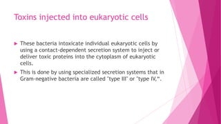 Toxins injected into eukaryotic cells


These bacteria intoxicate individual eukaryotic cells by
using a contact-dependent secretion system to inject or
deliver toxic proteins into the cytoplasm of eukaryotic
cells.



This is done by using specialized secretion systems that in
Gram-negative bacteria are called "type III" or "type IV,“.

 