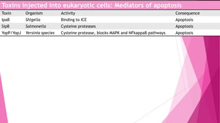Toxins injected into eukaryotic cells: Mediators of apoptosis
Toxin

Organism

Activity

Consequence

IpaB

Shigella

Binding to ICE

Apoptosis

SipB

Salmonella

Cysteine proteases

Apoptosis

YopP/YopJ

Yersinia species

Cysteine protease, blocks MAPK and NFkappaB pathways

Apoptosis

 