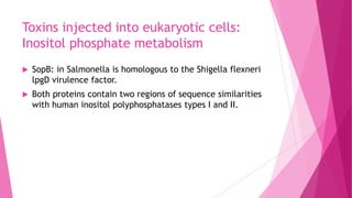 Toxins injected into eukaryotic cells:
Inositol phosphate metabolism


SopB: in Salmonella is homologous to the Shigella flexneri
lpgD virulence factor.



Both proteins contain two regions of sequence similarities
with human inositol polyphosphatases types I and II.

 