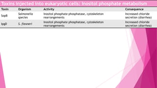 Toxins injected into eukaryotic cells: Inositol phosphate metabolism
Toxin

Organism

Activity

Consequence

SopB

Salmonella
species

Inositol phosphate phosphatase, cytoskeleton
rearrangements

Increased chloride
secretion (diarrhea)

IpgD

S. flexneri

Inositol phosphate phosphatase, cytoskeleton
rearrangements

Increased chloride
secretion (diarrhea)

 