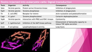 Toxins injected into eukaryotic cells: Signal transduction
Toxin

Organism

Activity

Consequence

YpkA

Yersinia species

Protein serine/threonine kinase

Inhibition of phagocytosis

YopH

Yersinia species

Tyrosine phosphatase

Inhibition of phagocytosis

Tir

E. coli EPEC

Receptor for intimin

Actin nucleation and pedestalformation

CagA

H. pylori

Tyrosine phosphorylated

Cortactin dephosphorylation

YopM

Yersinia species

Interaction with PRK2 and RSK1 kinases

Cytotoxicity

SptP

S. typhimurium

Inhibition of the MAP kinase pathway

Enhancement of Salmonella capacity to
induce TNF-alpha secretion

ExoU

P. aeruginosa

Lysophospholipase A activity

Lung injury

 