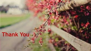 Thank You

 