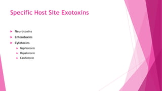 Specific Host Site Exotoxins


Neurotoxins



Enterotoxins



Cytotoxins


Nephrotoxin



Hepatotoxin



Cardiotoxin

 