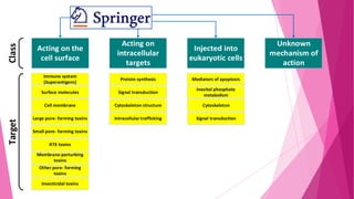 Injected into
eukaryotic cells

Protein synthesis

Mediators of apoptosis

Surface molecules

Signal transduction

Inositol phosphate
metabolism

Cell membrane

Class

Acting on
intracellular
targets

Immune system
(Superantigens)

Target

Acting on the
cell surface

Cytoskeleton structure

Cytoskeleton

Large pore- forming toxins

Intracellular trafficking

Signal transduction

Small pore- forming toxins
RTX toxins
Membrane-perturbing
toxins
Other pore- forming
toxins
Insecticidal toxins

Unknown
mechanism of
action

 